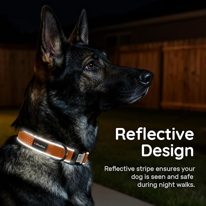 Reflective Dog Collar with QR Code Tag, Personalized Dog Collar, Safety Night Visibility, Anti-Loss Function (Orange, Medium)