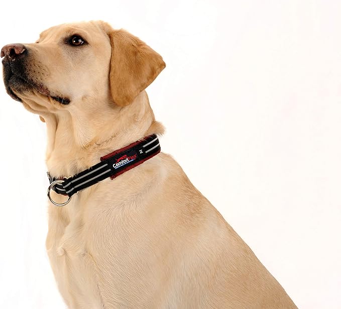 ComfortFlex Premium Padded Martingale Dog Collar – Reflective Waterproof Slip-On Limited Slip Collar for Gentle Control & Escape Prevention - Medium, Raven Black