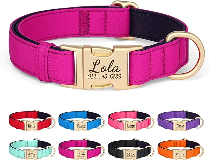 PET ARTIST Colorful Personalized Dog Collars, Custom Dog Collar with Silent Engraved ID Tag, Lightweight Breathable Nylon & Soft Padded, Matching Leash & Poop Bag for Small Dogs,Rose,Fit 10-15"