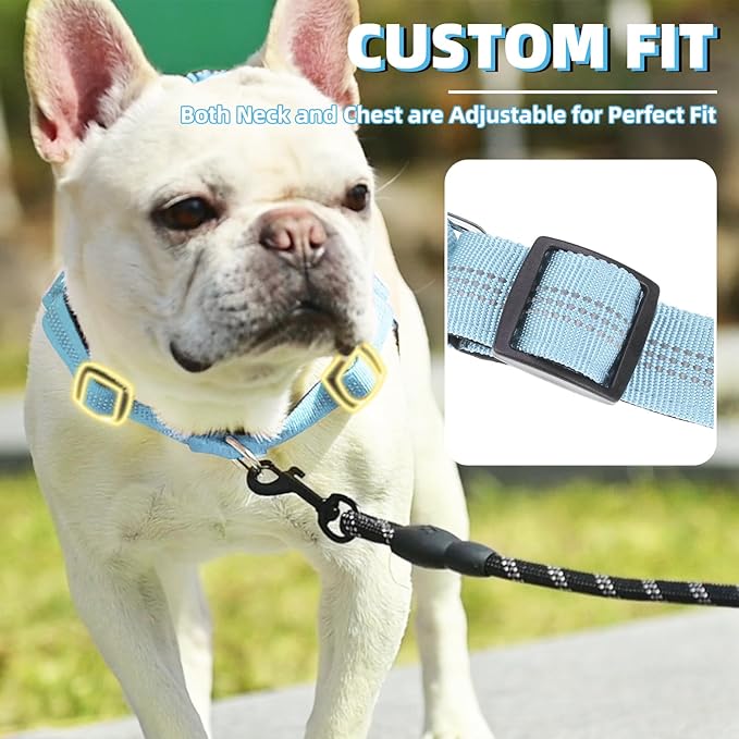 PUPTECK No Pull Dog Harness Small Sized Dog, Adjustable Reflective Pet Vest Harness with Bungee Handle, Escape Proof No Choke Harness for Small Dogs Walking Training, Sky Blue M