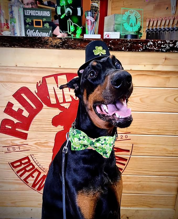 DOGWONG St. Patrick's Day Dog Collar-Cute Clovers Dog Collar with Bow, Cotton Trefoil Bowtie Dog Collars with Metal Buckle for Small Medium Large Dogs