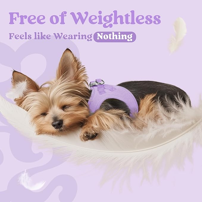rabbitgoo Small Dog Harness, Step-in Soft Mesh Puppy Vest with Safety Buckle, Breathable Reflective Pet Harness for Small Sized Dogs, Light Purple XS