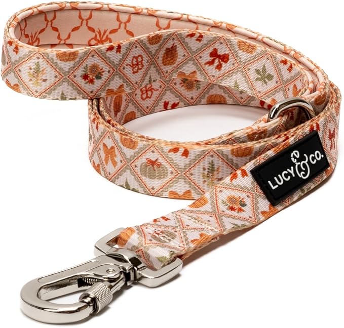 Lucy & Co. 5 Foot Designer Dog Leash for Small, Medium or Big Dogs or Puppies Puppy – Pet Accessories & Supplies- Large-Orange Cream Pumpkin
