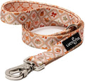 Lucy & Co. 5 Foot Designer Dog Leash for Small, Medium or Big Dogs or Puppies Puppy – Pet Accessories & Supplies- Large-Orange Cream Pumpkin