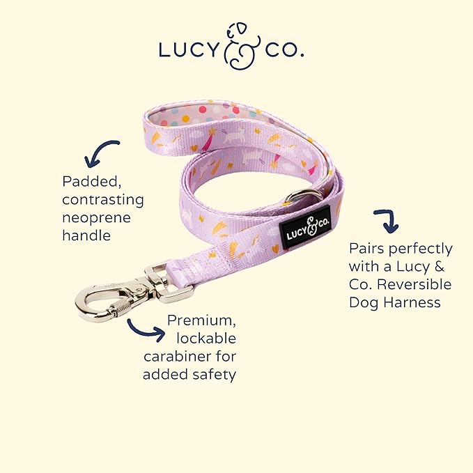 Lucy & Co. 5 Foot Dog Leash - Best Designer Dog Leash - Unicorn Magic, Large