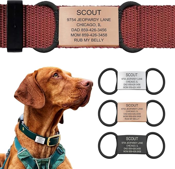 Personalized Dog Tags by ROAD iD | Silent & Durable | Jingle-Free Slide-On Design | Stainless Steel Name Tag Fits Any Collar | Multiple Colors & Sizes for Your Pet's Unique Style