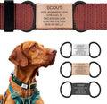 Personalized Dog Tags by ROAD iD | Silent & Durable | Jingle-Free Slide-On Design | Stainless Steel Name Tag Fits Any Collar | Multiple Colors & Sizes for Your Pet's Unique Style