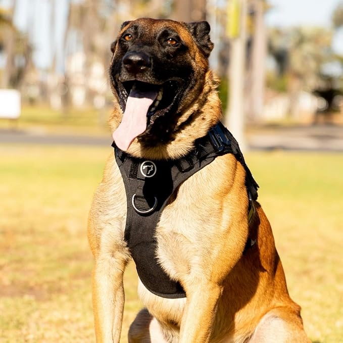Tactical Dog Vest Harness (Alpha Black, Large)