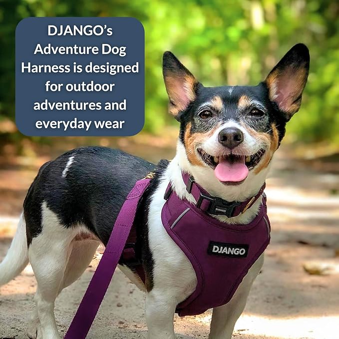 DJANGO Adventure Dog Harness - Stylish, and Durable Large Dog Harness for Outdoor Adventures and Everyday Wear - Plum Purple Neoprene Adjustable Harness for Dogs with Reflective Piping, Brass D-Ring