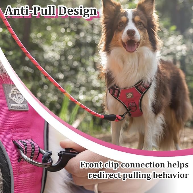 Vest Harness for Dogs - Reflective Adjustable Padding with Easy-On Design & Leash Attachment (XL, Hot Pink)