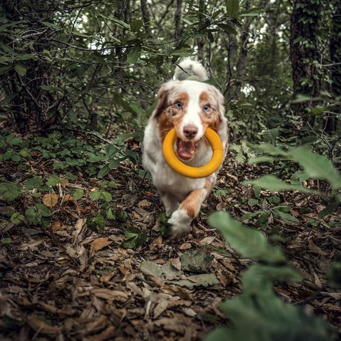 Green Sheep Natural Rubber Dog Chew Toy, Indestructible Dog Toys for Aggressive Chewers, Tough Chew Toys for Small to Large Dogs, Medium Yellow Ring for Medium Dogs