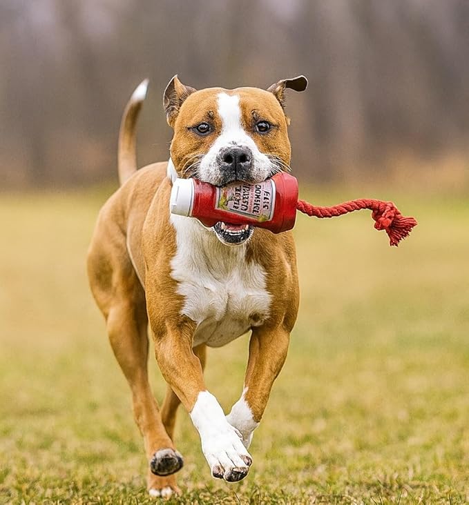 Fuzzl TPR Ketchup Bottle Rubber Dog Toy with Rope – Durable Chew & Tug Toy for Small, Medium & Large Dogs – Tough – Interactive Fetch, Tug-of-War & Dental Health Play