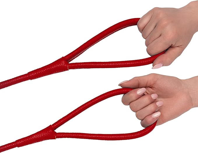 OOPSDOGGY Rolled Leather Dog Lead 6ft Heavy Duty Training Leash for Small Medium Large Dogs & Puppy Black Brown Red (Red, Large)