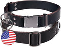 ADITYNA Leather Dog Collar with Metal Buckle - Heavy-Duty, Adjustable for Medium & Large Dogs - Walking, Training, Tactical (Black, Fits 15-21" Necks)