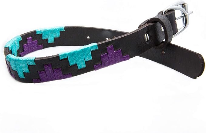 Gaucho Goods Leather Dog Collar (Miami-XS) for Small Dogs