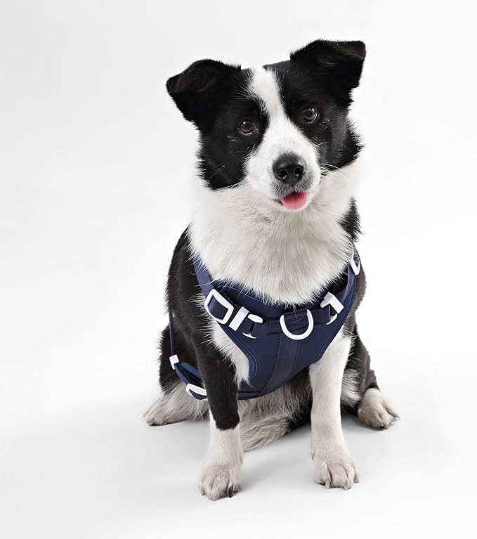 HNS1003J Arlo Large Adjustable Soft Padded No Pull Pet Harness with 3 Buckles and 3 Leash Clips, Highball