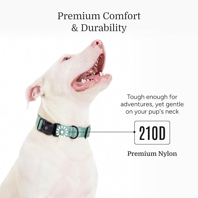 2026 New Edition, Fei & Eve MagEase Dog Collar - Patented Magnetic Buckles | Fur-Safe | Premium 210D Nylon | 450LB Escape-Proof | Adjustable Fit | Large (Glacier Green)