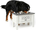 GTW Personalized Elevated Dog Bowl Stand for Large, Medium, Small, X-Small Dogs - Stainless Steel Food and Water Bowls - Raised Dog Dish (X-Large, Grey)