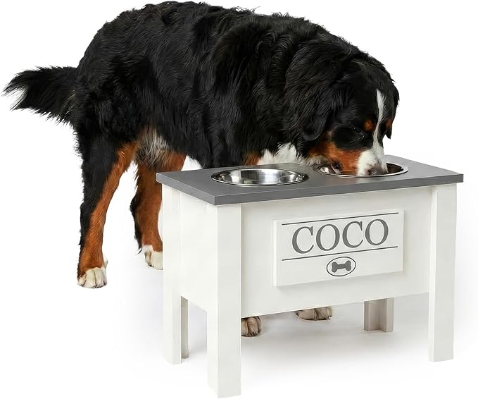 GTW Personalized Elevated Dog Bowl Stand for Large, Medium, Small, X-Small Dogs - Stainless Steel Food and Water Bowls - Raised Dog Dish (X-Large, Grey)