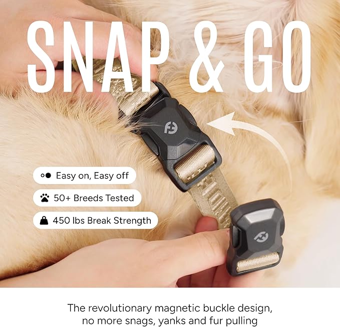 2026 New Edition, Fei & Eve MagEase Dog Collar - Patented Magnetic Buckles | Fur-Safe | Premium 210D Nylon | 450LB Escape-Proof | Adjustable Fit | Small (Champagne)