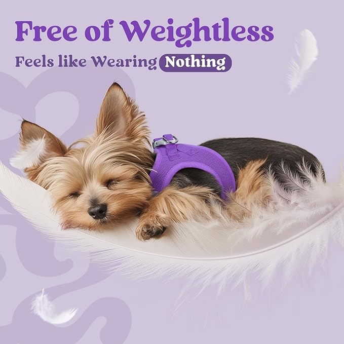 rabbitgoo Small Dog Harness, Step-in Soft Mesh Puppy Vest with Safety Buckle, Breathable Reflective Pet Harness for Extra Small Dogs, Purple XXS
