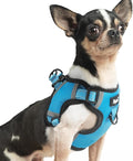 PUPTECK No Pull Dog Harness Small Sized Dog, Adjustable Reflective Escape Proof Easy Control, Comfortable Soft Padded Step in Pet Vest Harness, Blue, XS