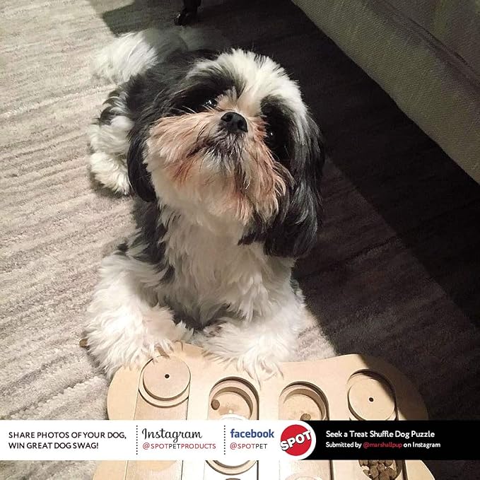 SPOT Interactive Seek-A-Treat Shuffle Bone Dog Toy Puzzle | Dog Treat Reward Toy Improves Your Dog's IQ | Specially Designed for Training Treats