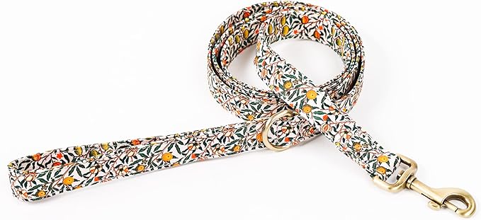 Organic Cotton Dog Leash for Small,Medium and Large Breed,Brass Hardware Pet Leash for Walking,Running and Training 6FT