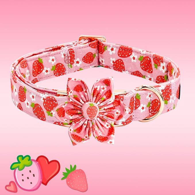 Elegant Little Tail Spring Dog Collar, Strawberry Print Cotton Soft Medium Dog Collar with Removable Flower Decoration, Fits Neck 13.5-22 Inches
