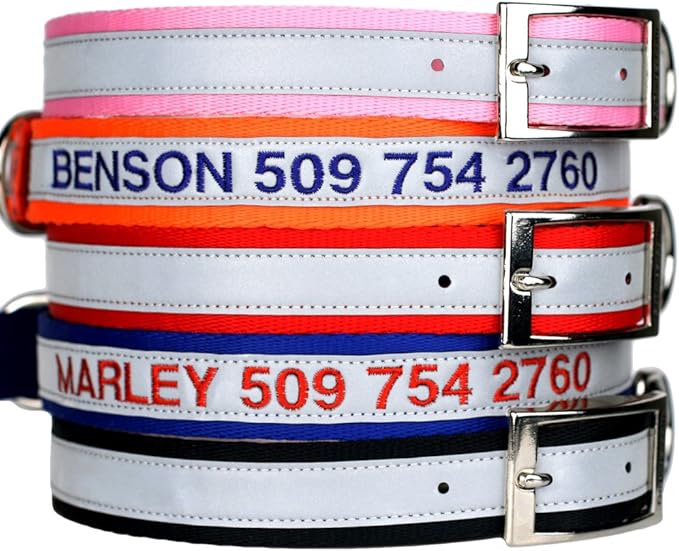 GoTags Embroidered Reflective Dog Collars with Metal Buckle, Personalized Dog Collar Custom Embroidered with Pet Name and Phone Number, Sizes for Puppy and Dogs Extra Small, to Medium and Large