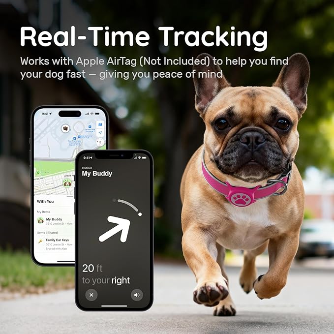 Reflective Dog Collar with Waterproof Air tagholder & Anti-Lost QR Code | Ultra-Durable | Soft Padded | Safety Locking Buckle | Fit Small Dogs (Rose Red S(9.8"-15.7"))