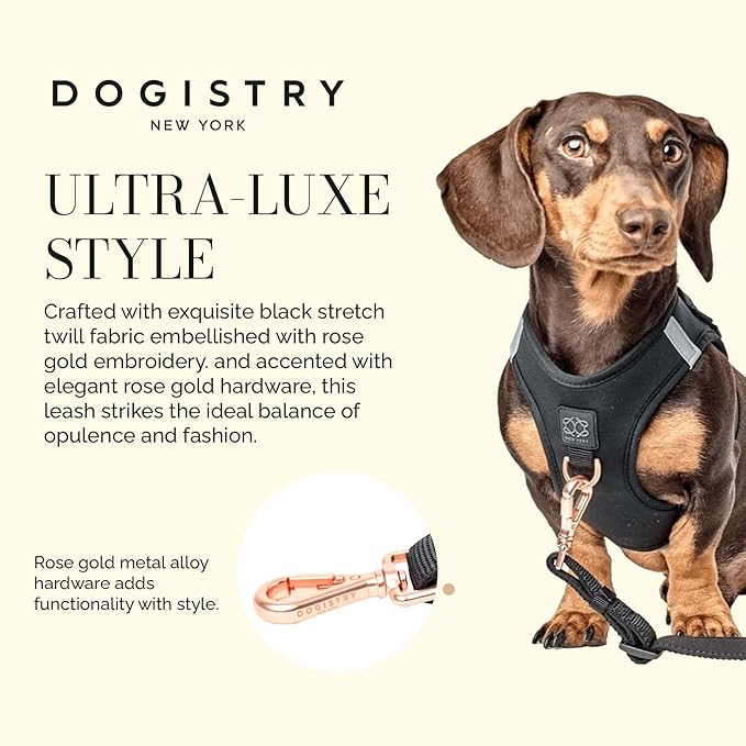 The DOGISTRY - City Dog Leash - Black - Award-Winning Adjustable Hands-Free Design - Luxe Rose Gold Hardware & Style-Forward Functionality - Small