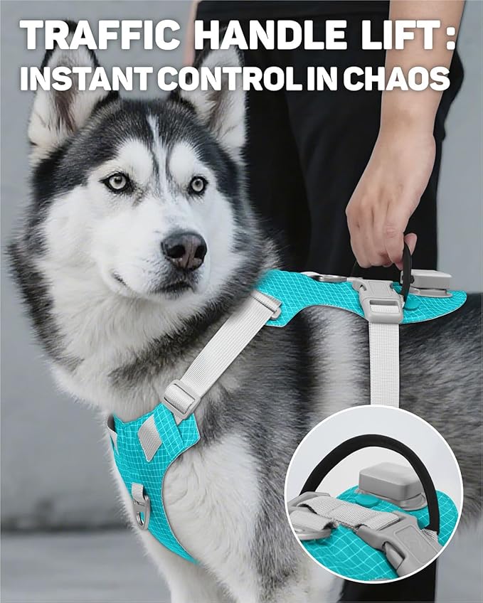 TagME No Pull Dog Harness with 2 Leash Clips,Lightweight & Visible for All-Day Walking,No Choke Pet Vest Includes AirTag Holder for Large Dogs,Teal