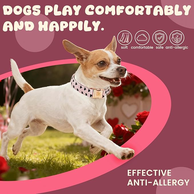 Elegant little tail Valentine's Dog Collar - Pink Black Heart Dog Collars Bowtie Pet Collars with Sturdy Metal Buckle Puppy Adjustable Collar for Medium Dogs
