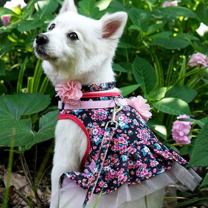Blueberry Pet Made Well Elegant Floral Print Adjustable Dog Collar in Sleek Black with Pink Artificial Silk Flower, Medium, Neck 14.5"-20"
