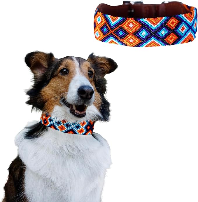 Eternia Premium Leather Dog Collar - Adjustable Handcrafted Collar for Small to Large Dogs (Orange/Blue, S)