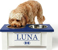GTW Personalized Elevated Dog Bowl Stand for Large, Medium, Small, X-Small Dogs - Stainless Steel Food and Water Bowls - Raised Dog Dish with Internal Storage (Small, Blue)