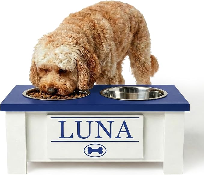 GTW Personalized Elevated Dog Bowl Stand for Large, Medium, Small, X-Small Dogs - Stainless Steel Food and Water Bowls - Raised Dog Dish with Internal Storage (Small, Blue)