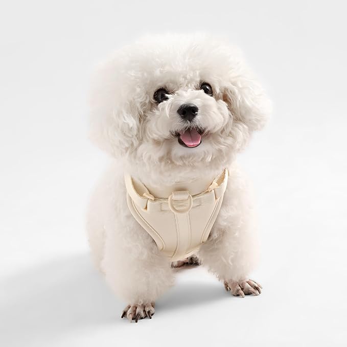 HNS1001L Arlo Small Adjustable Soft Padded No Pull Pet Harness with 3 Buckles and 3 Leash Clips, Bailey