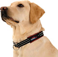 ComfortFlex Premium Padded Martingale Dog Collar – Reflective Waterproof Slip-On Limited Slip Collar for Gentle Control & Escape Prevention - Medium, Bordeaux