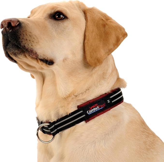 ComfortFlex Premium Padded Martingale Dog Collar – Reflective Waterproof Slip-On Limited Slip Collar for Gentle Control & Escape Prevention - Medium, Bordeaux