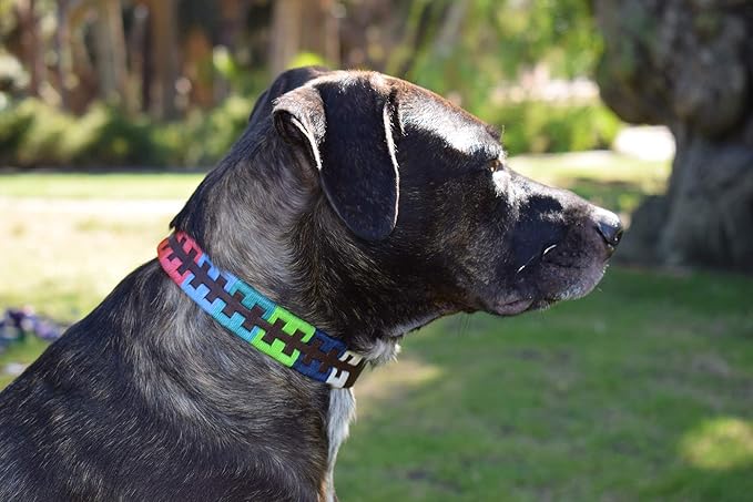 Gaucho Goods Tribal Leather Dog Collar - Zephyr (XL)
