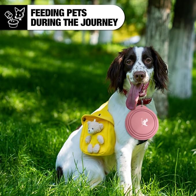 Rest-Eazzzy 2-Pack Silicone Collapsible Dog Bowls, BPA Free Dishwasher Safe, Portable Foldable Travel Bowl, Food Water Feeding Cup Dish for Dogs Cats with 2 Carabiners (Grey, Pink, 550 ML)