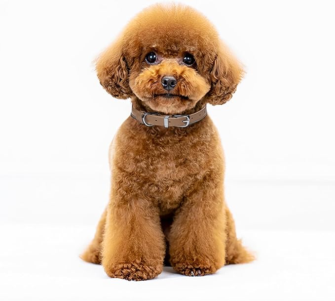 OOPSDOGGY Rolled Leather Dog Collar Reflective Roll Collars for Small Medium Large Dogs Puppy (Beige, XL, 17'' - 21'')