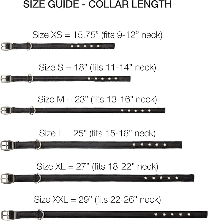 Adjustable Recycled Ribbon Dog Collar for All Pet Breeds, Skully Night, XX-Large
