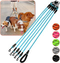 5 Way Dog Leash with 360 Swivel, Comfortable for Walking & Training