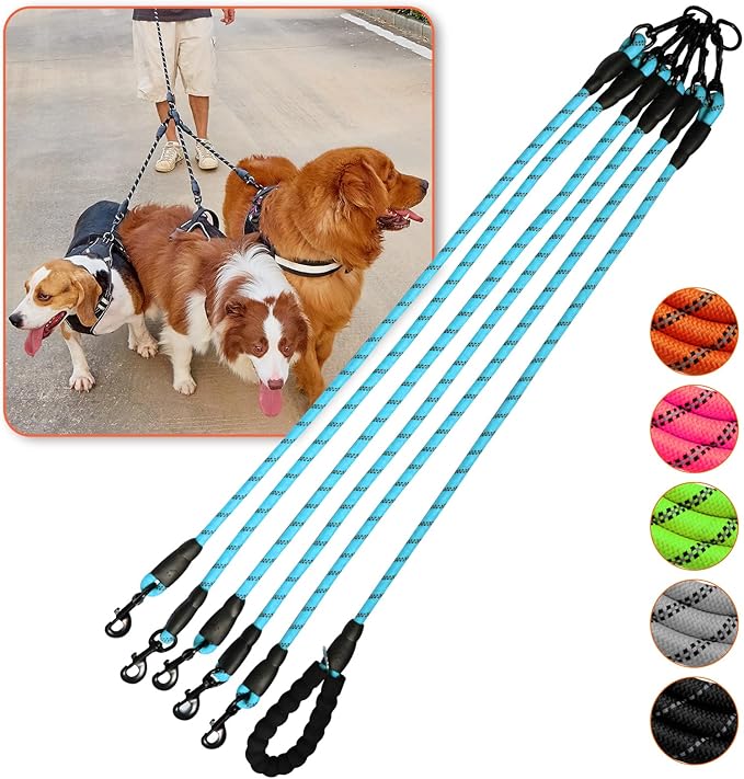 5 Way Dog Leash with 360 Swivel, Comfortable for Walking & Training
