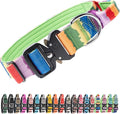 TSPRO Premium Dog Collars Tactical Dog Collar with Handle and Heavy Duty Quick-Release Metal Buckle Durable Thick and Adjustable for Medium to Large Dogs (Gradient Multi-Colored L)