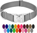 Country Brook Petz - Premium Nylon Dog Collar with Metal Buckle for Small Medium Large Breeds - 10+ Cool Colors (Extra Large, 1 Inch, Silver)