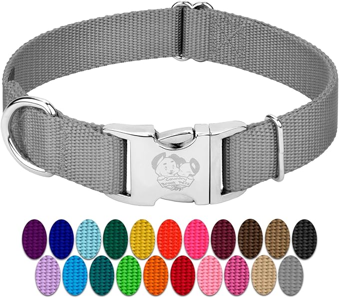 Country Brook Petz - Premium Nylon Dog Collar with Metal Buckle for Small Medium Large Breeds - 10+ Cool Colors (Medium, 3/4 Inch, Silver)